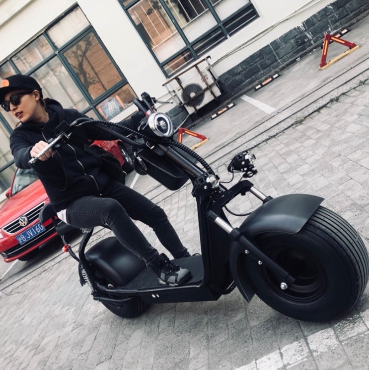 인지도 있는 STOTER 레인저 2인승 할리전동스쿠터 60km 2000W, 대하레 정품 추천해요 인지도 있는 STOTER 레인저 2인승 할리전동스쿠터 60km 2000W, 대하레 정품 추천해요
