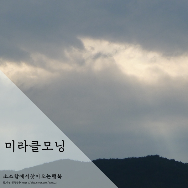  미라클모닝 도전하기 아이들과함께