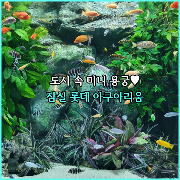  도시 속 미니용궁잠실 롯데 아쿠아리움