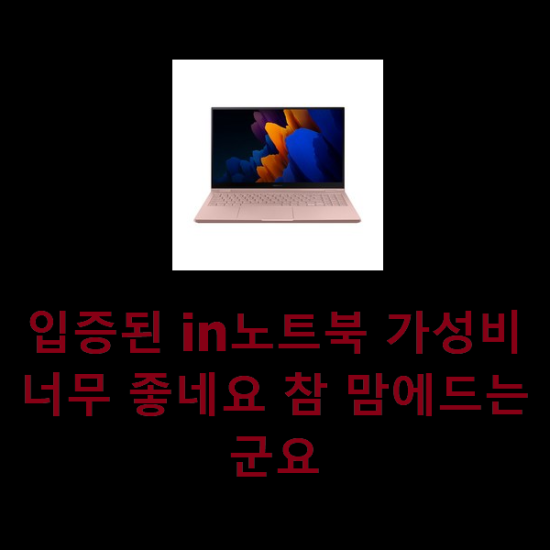 입증된 in노트북 가성비 너무 좋네요 참 맘에드는군요