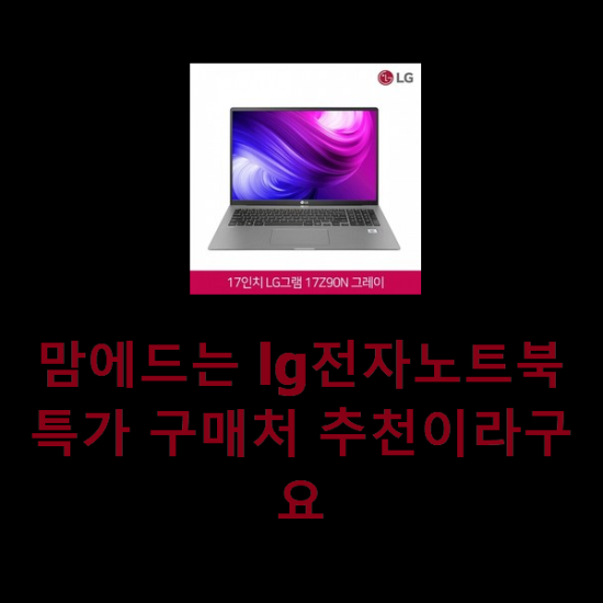  맘에드는 lg전자노트북 특가 구매처 추천이라구요