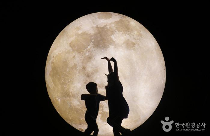  [원주 여행] 숲속에서 펼쳐지는 빛과 음악 쇼, 원주 오크밸리 ‘소나타오브라이트’ (원주 가볼만한 곳)