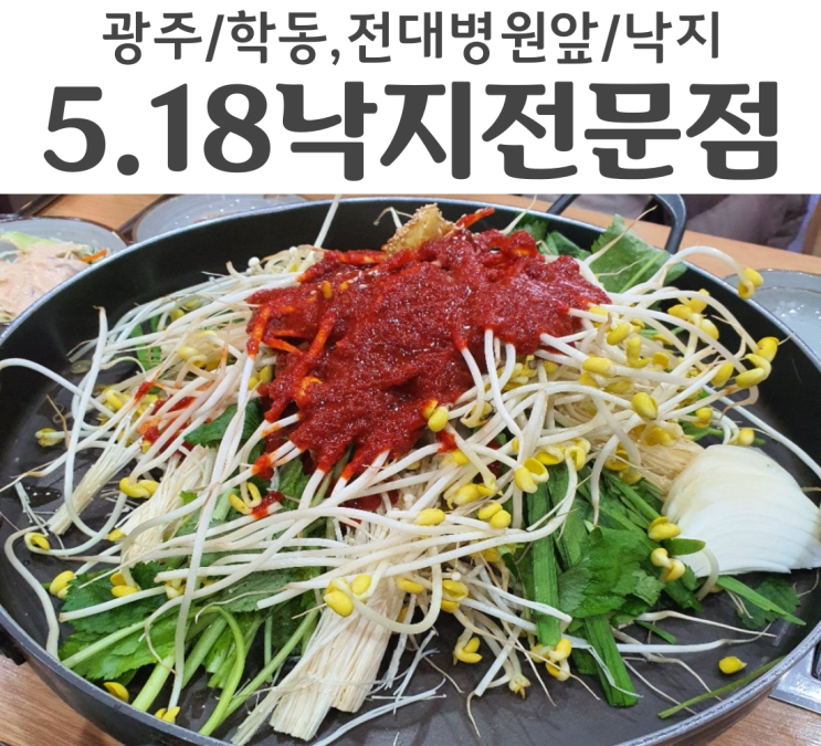  광주 학동 전대병원 맛집 5.18 낙지 전문점 100% 국산낙지만 취급