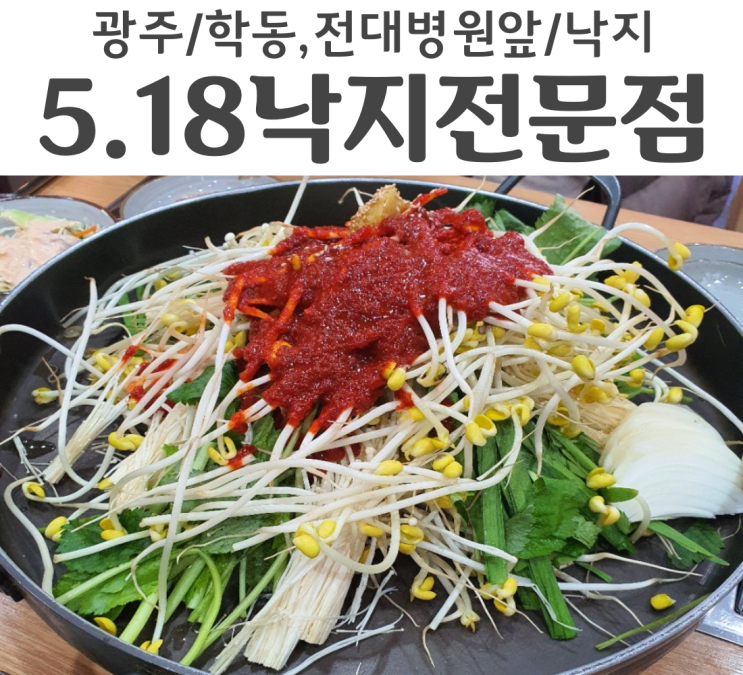 광주 학동 전대병원 맛집 5.18 낙지 전문점 100% 국산낙지만 취급