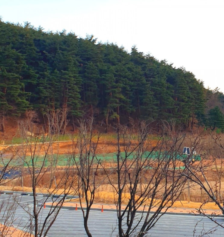  펜션 사업, 취득세 등 토지 구입과 관련한 비용 총정리