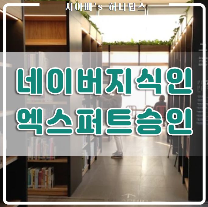  네이버 지식인 엑스퍼트 승인을 받았습니다.