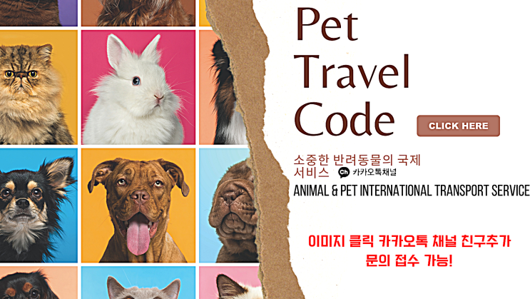  강아지해외출국 강아지입국 동물검역 통관 블록스타일 이동켄넬 케이지 디자인특허획득!!