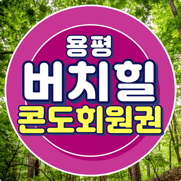  용평버치힐콘도회원권 용평리조트 자작나무 숲속에서 프라이빗하게 힐링~