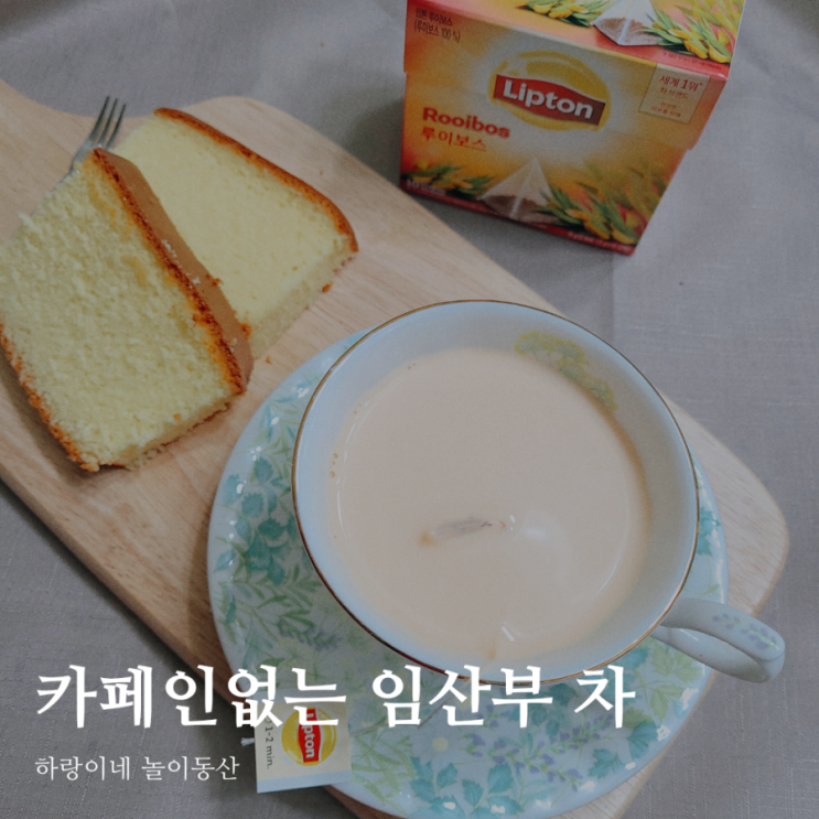  카페인없는 임산부 차, 루이보스 밀크티 만들기
