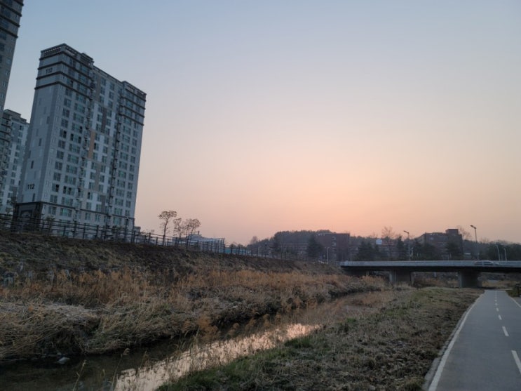  지금 사는 동네, 만족하십니까?