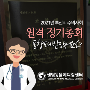  2021년 부산시 수의사회 원격 정기총회 표창패 받았어요 (부산 분과전문진료 동물병원 센텀동물메디컬센터)