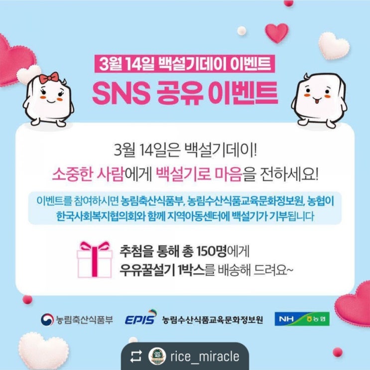 백설기 데이 이벤트 백설기 데이 이벤트