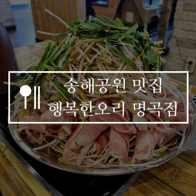  [맛집] 오리맛동산 맛있는 대구송해공원 맛집 행복한오리 명곡점