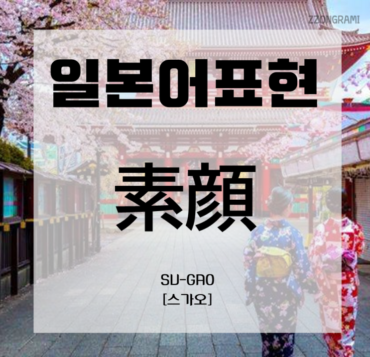  [일본어 공부] 일본어 표현 : 얼굴(顔)이 들어간 표현 ④ 「素顔」