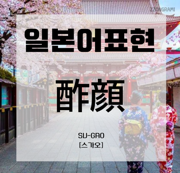  [일본어 공부] 일본어 표현 : 조미료로 구분한 얼굴(顔) 표현⑦ 「酢顔」