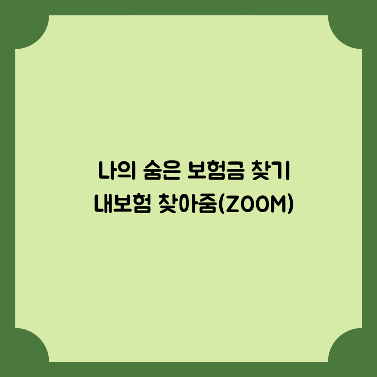  내 보험 한눈에 /나의 숨은 보험금 찾기/내보험 찾아줌(ZOOM)