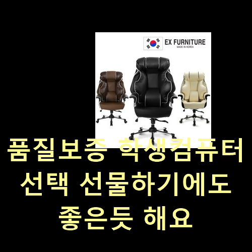  품질보증 학생컴퓨터 선택 선물하기에도 좋은듯 해요