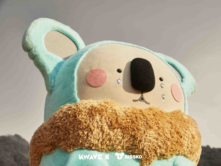  디스하는 코알라 [디스코알라잇]의 매력에 빠져버렸어요 ㅋㅋㅋ