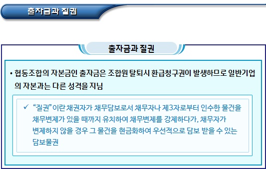 협동조합 설립 관련 출자 및 책임