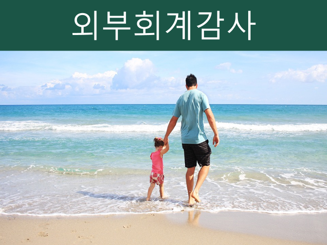  대형 집합건물, 공동주택 외부회계감사 의무화!!(꼭 받자)