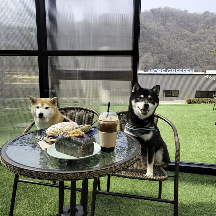  양주 베이커리카페 모어그린