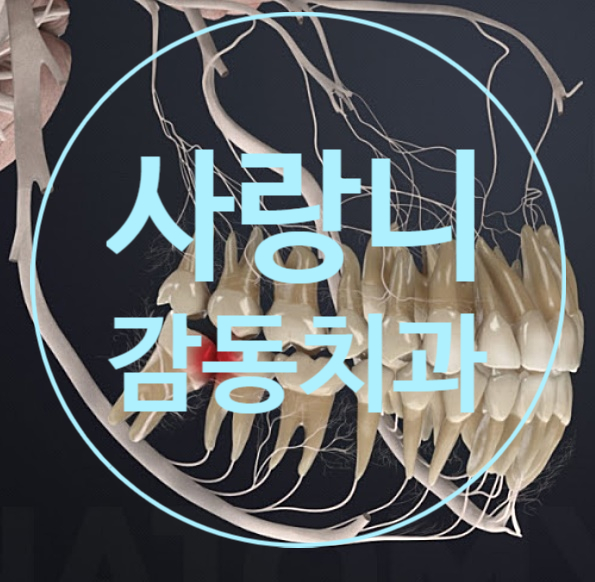  당감동 사랑니발치 붓기 주의사항 감동치과