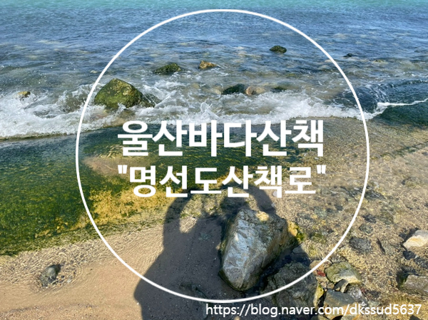  울산여행) 울산바다 산책하기 좋은 무인도섬 진하해수욕장 "명선도" 산책로