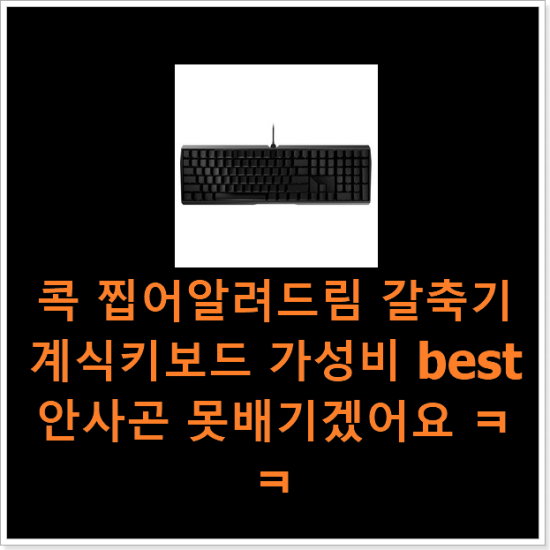 콕 찝어알려드림 갈축기계식키보드 가성비 best 안사곤 못배기겠어요 ㅋㅋ 콕 찝어알려드림 갈축기계식키보드 가성비 best 안사곤 못배기겠어요 ㅋㅋ