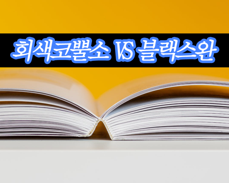  회색코뿔소와 블랙스완 증시와 경제만이 아니다