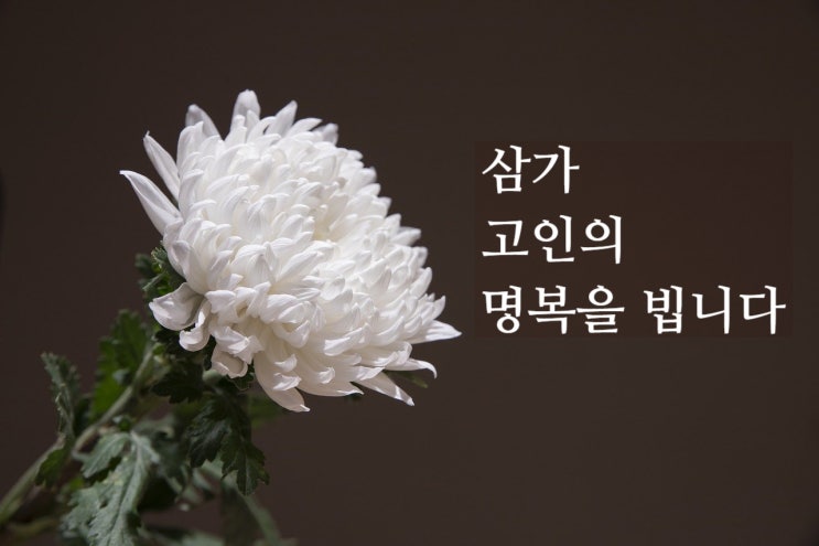 사망신고 기간, 절차 처리 및 재산조회, 재산상속은 어떻게 할까?