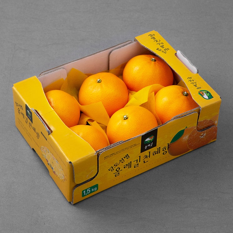 의외로 인기있는 올레길 GAP 인증 당도선별 천혜향, 1.5kg(6~8입), 1박스(로켓배송) 좋아요 의외로 인기있는 올레길 GAP 인증 당도선별 천혜향, 1.5kg(6~8입), 1박스(로켓배송) 좋아요