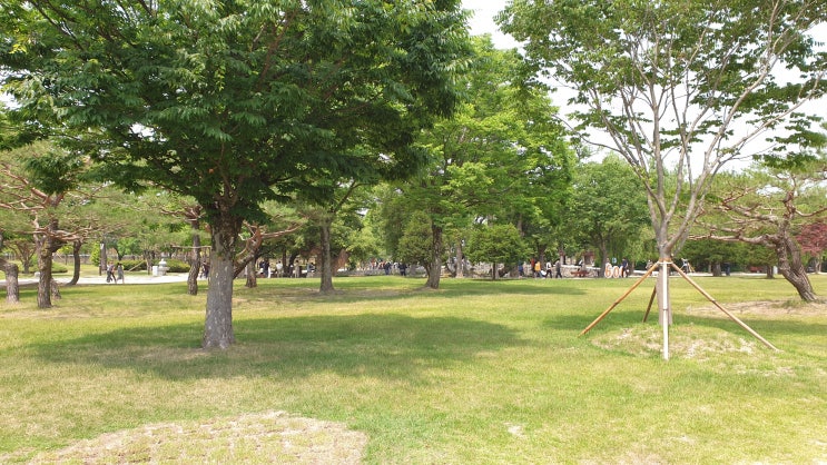  무기력증 원인과 증상의 해결