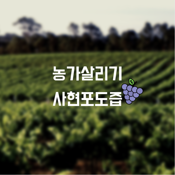  사현 포도즙 농가살리기 함께해요 :)