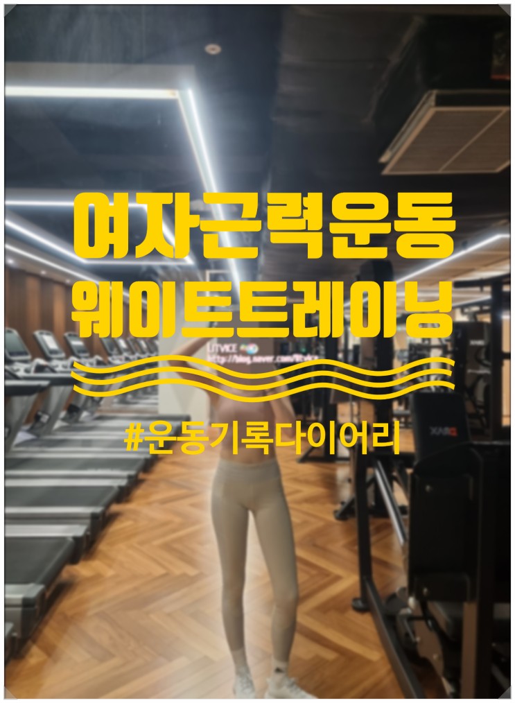 여자근력운동 웨이트 운동다이어리 영상,움짤(0307) 내돈내운동