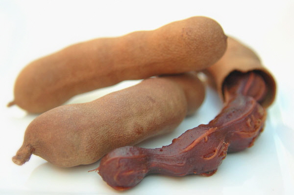  라오스 동남아 과일 같은 식물 타마린드 맛보셨나요 효능 효과 부작용 먹는 방법