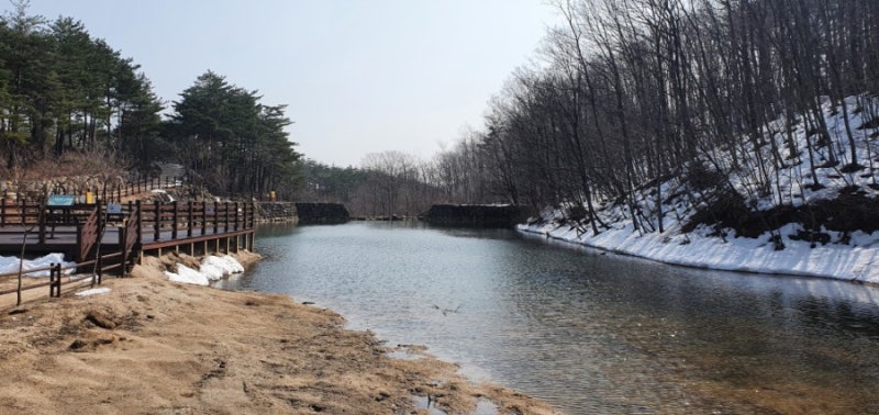 사진 2