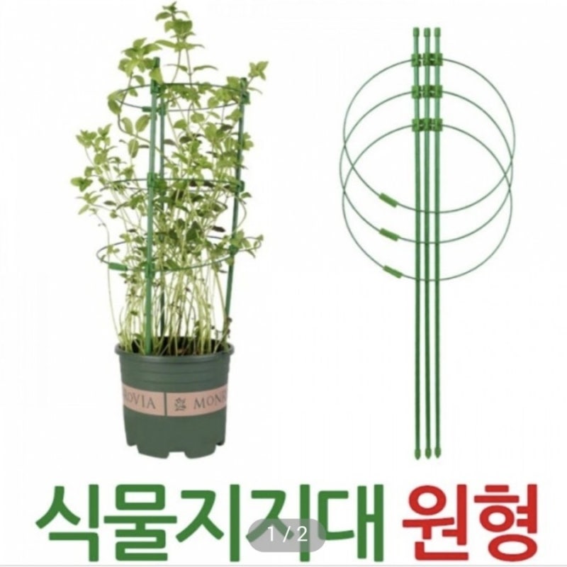 다이소 화초 지지대와 지주봉