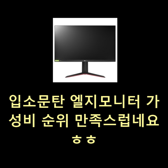  입소문탄 엘지모니터 가성비 순위 만족스럽네요 ㅎㅎ