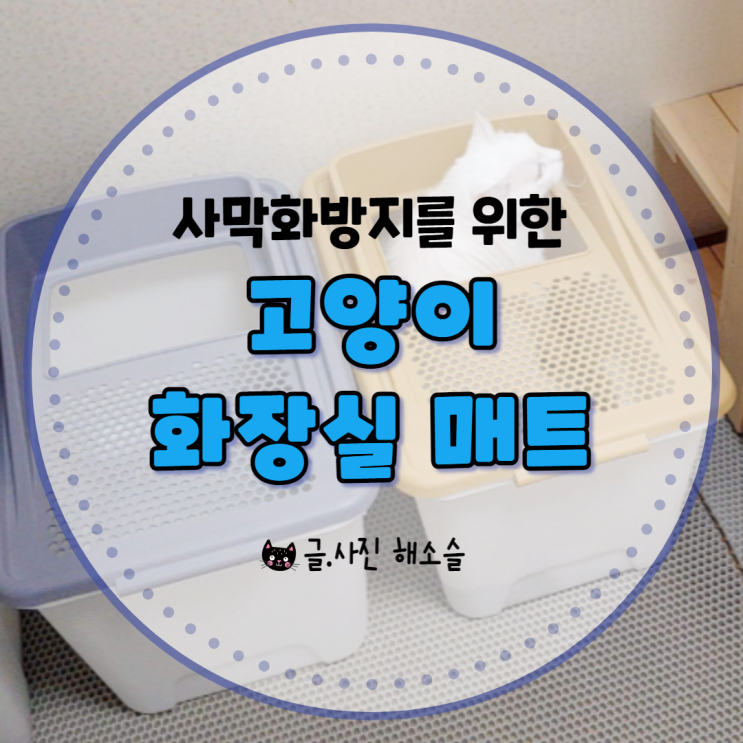  사막화방지를 위한 고양이 모래 매트 5가지 비교 후기