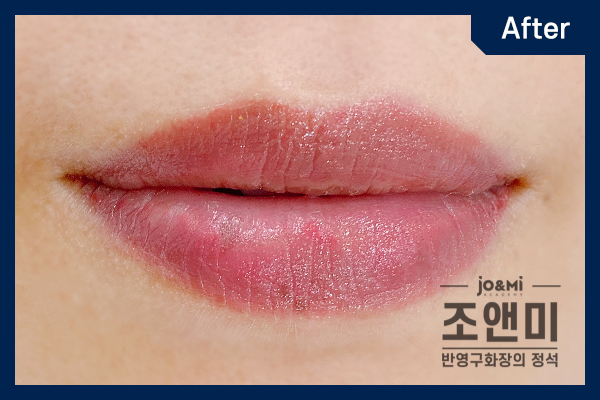 반영구화장아카데미 :: 입술문신 꺼리는 이유? / 입술문신 색이 잘 안 들어가요 / 입술문신색소 잘 넣는 법 / 입술반영구 반영구화장아카데미 :: 입술문신 꺼리는 이유? / 입술문신 색이 잘 안 들어가요 / 입술문신색소 잘 넣는 법 / 입술반영구