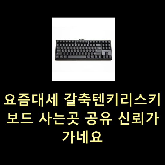  요즘대세 갈축텐키리스키보드 사는곳 공유 신뢰가 가네요