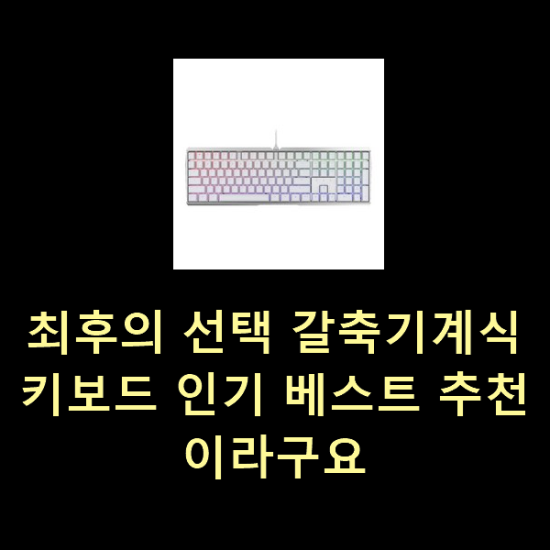  최후의 선택 갈축기계식키보드 인기 베스트 추천이라구요