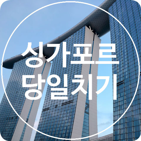  [싱가포르] 싱가포르 하루 만에 다 둘러보기! 당일치기 여행