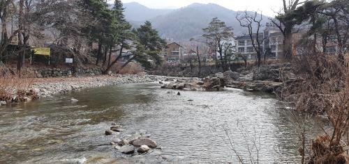 강산에펜션 사진 1