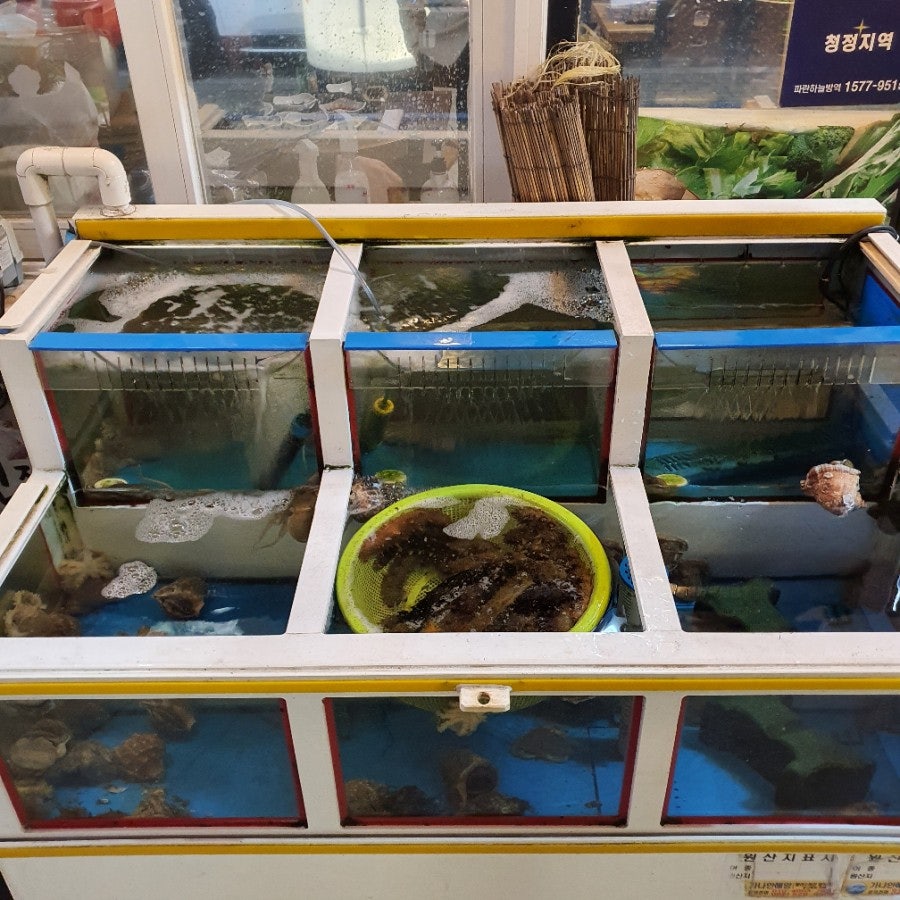 Gyejeolmatpocha photo 2