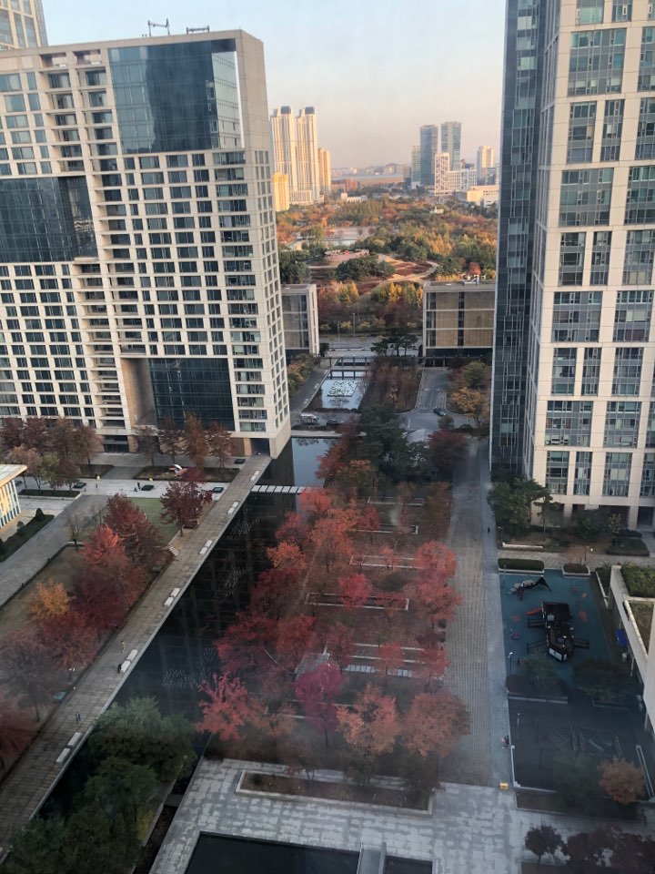  송도해돋이공원 가을단풍뷰 참 예뻐요