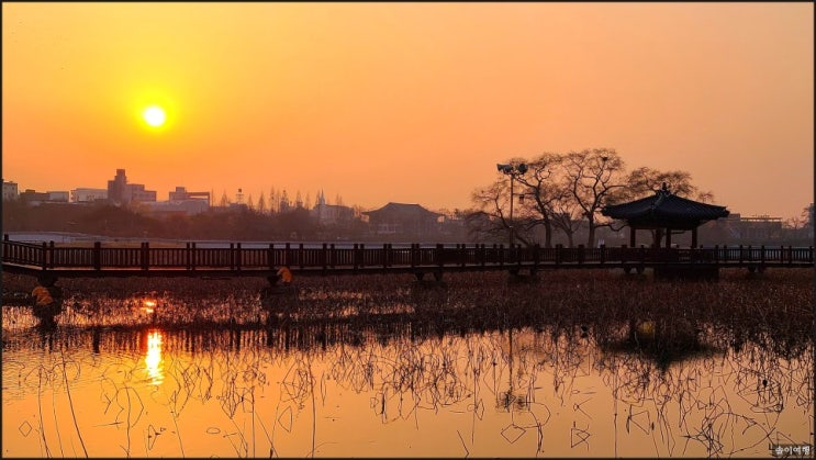  전주 덕진공원 노을(일몰)-공원과 멋진 조화