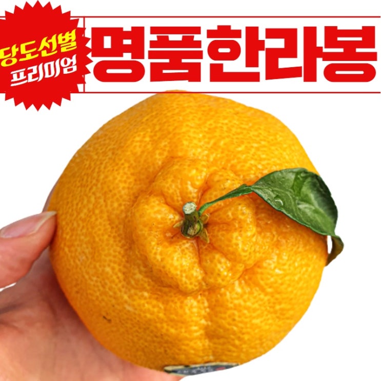 당신만 모르는 제주 화산토 재배 한라봉 천혜향 레드향 3kg 5kg 10kg 선물세트, 3KG 가정용 (중소과) 추천해요