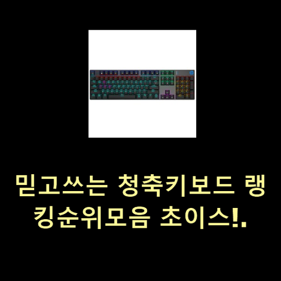  믿고쓰는 청축키보드 랭킹순위모음 초이스!.