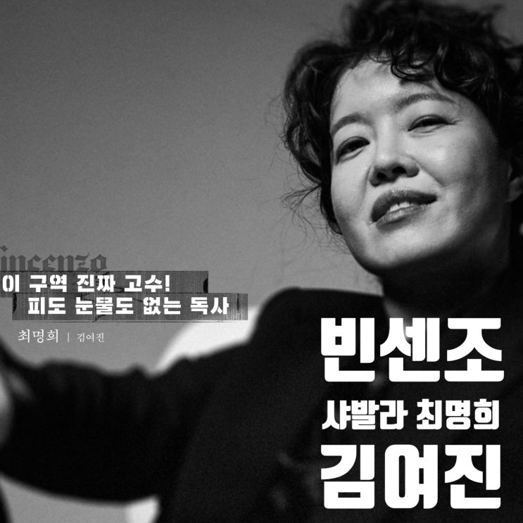 빈센조 마법의 구슬이 조종하는 샤발라 최명희 김여진 알아보기